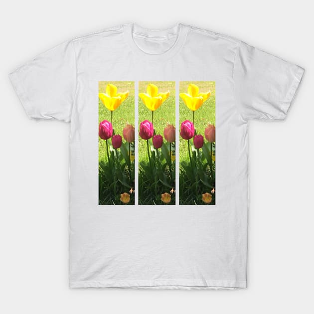 Tulips T-Shirt by Amanda1775